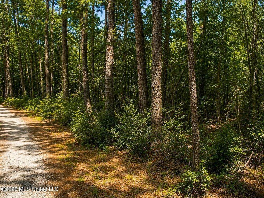 17TH Avenue - Photo 1