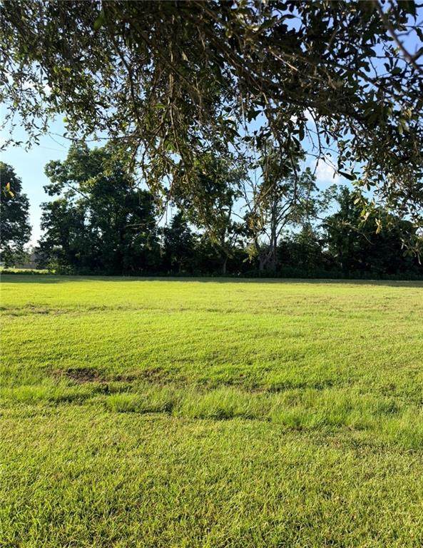 Lot 13 Rose Hill Plantation Road - Photo 1