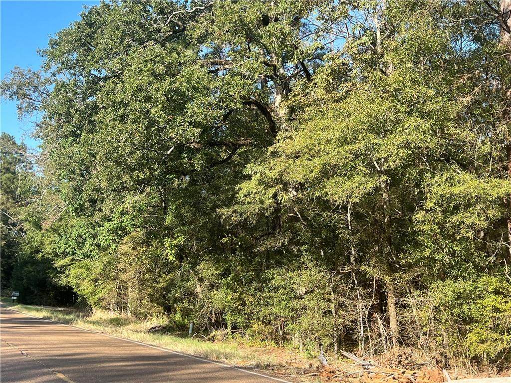 1163 Hwy 115 Highway - Photo 1