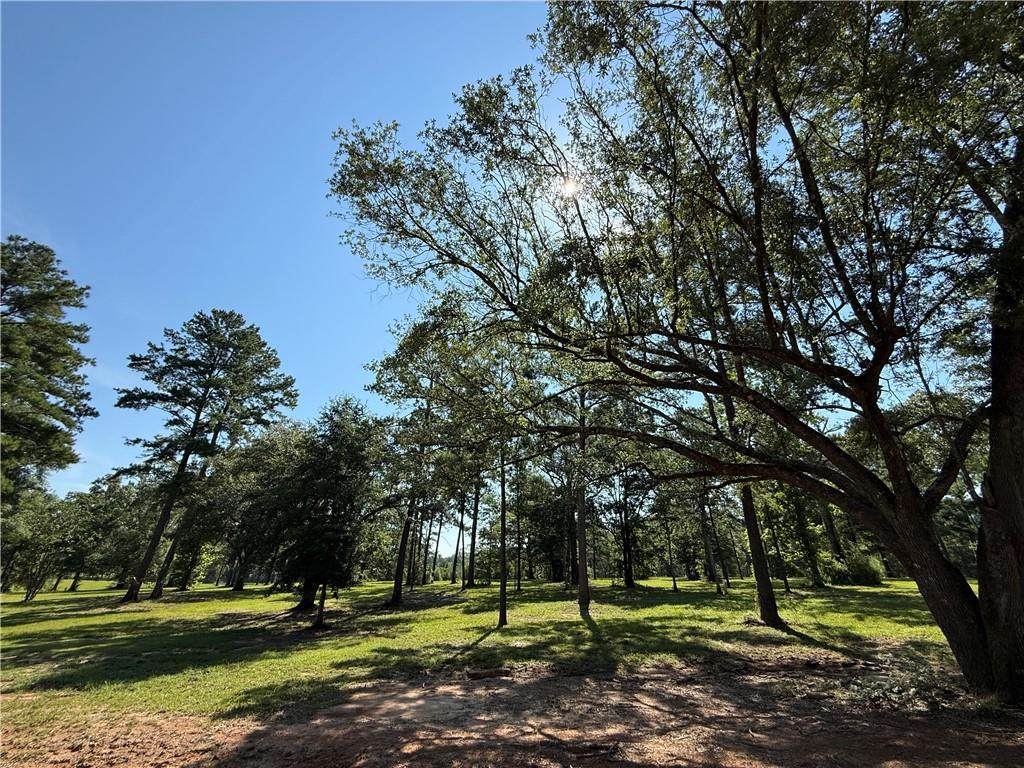 2720 Shade Tree Court - Photo 1