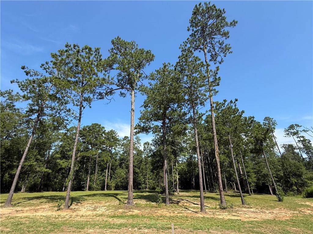 2748 Shade Tree Court - Photo 1