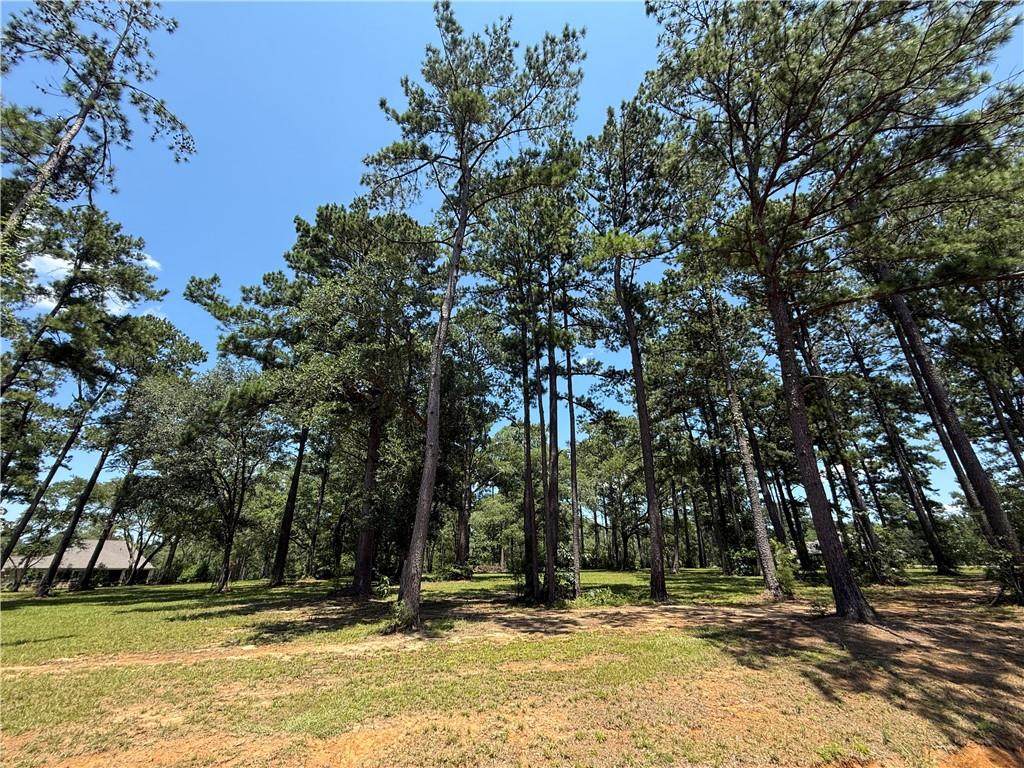 7238 The Woods Avenue - Photo 1