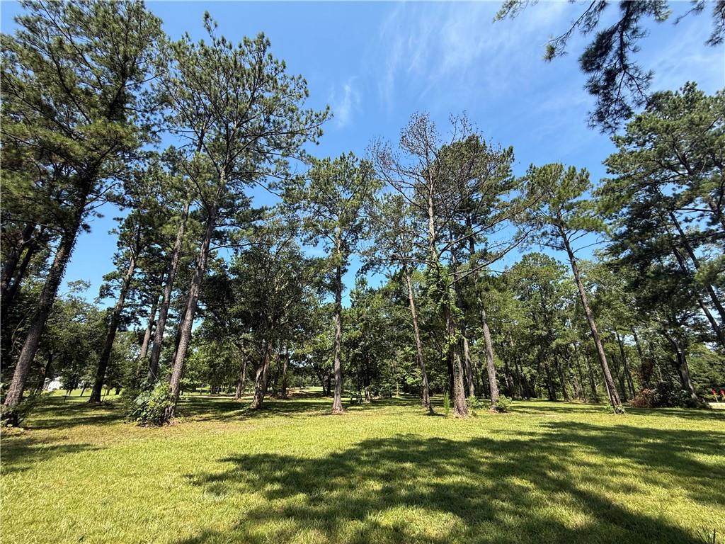 7237 The Woods Avenue - Photo 1