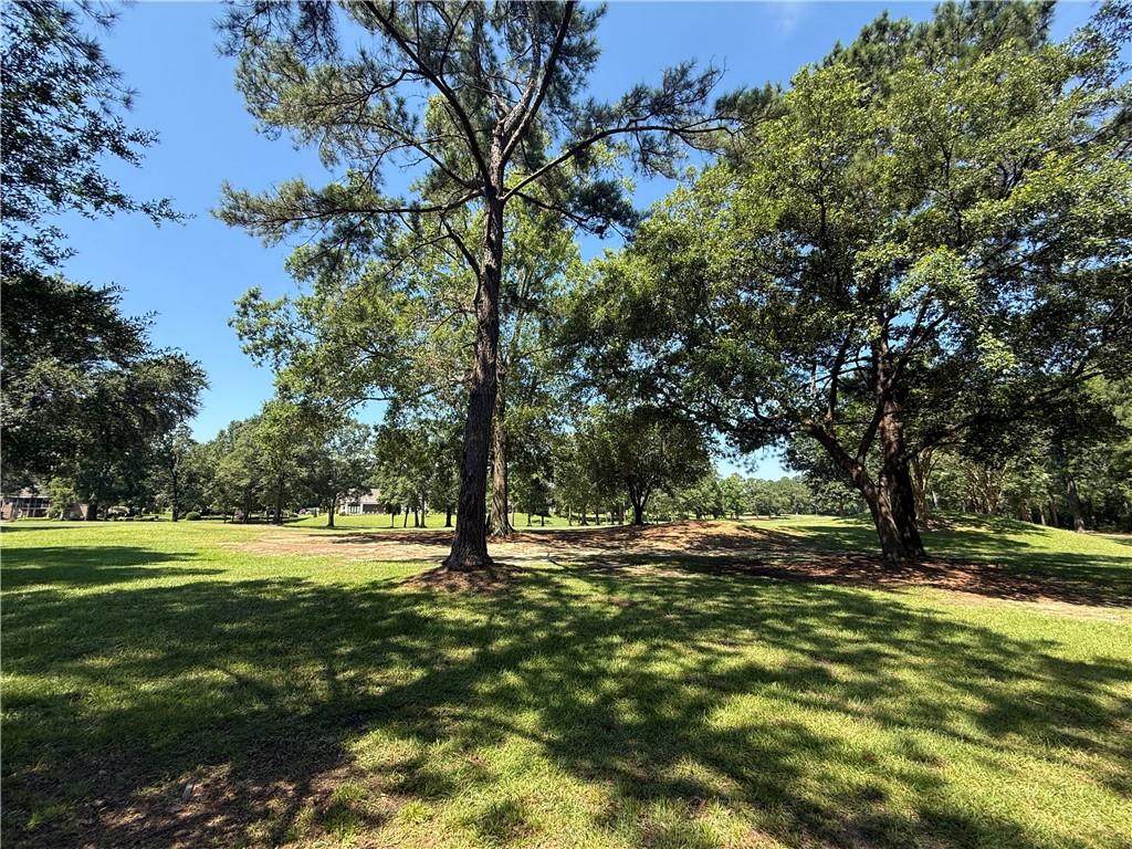 https://bt-photos.global.ssl.fastly.net/neworleans/orig_boomver_1_2566376-2.jpg