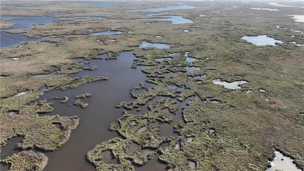 0 Bayou La Loutre - Photo 1