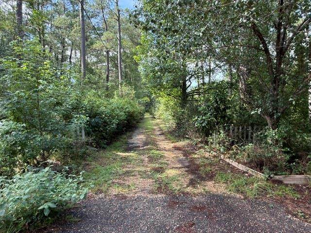 https://bt-photos.global.ssl.fastly.net/neworleans/orig_boomver_1_2566411-2.jpg