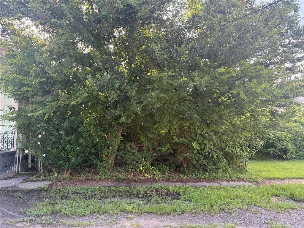 719 Lizardi Street - Photo 1