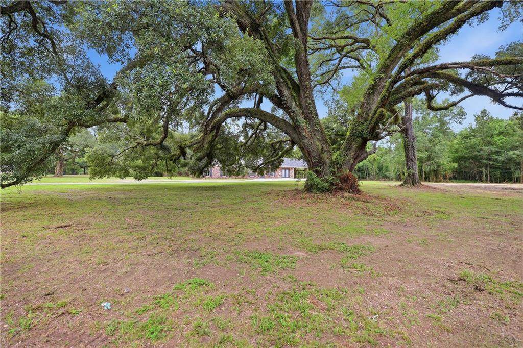 https://bt-photos.global.ssl.fastly.net/neworleans/orig_boomver_1_2567149-2.jpg