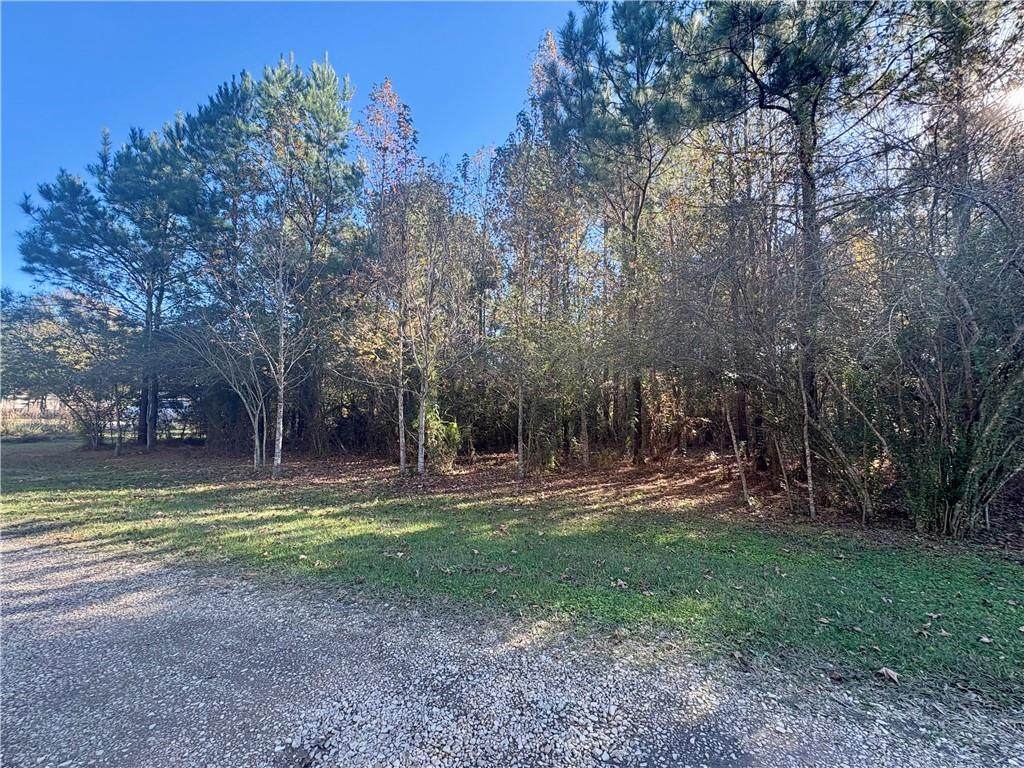 38897 Walker North Road - Photo 1