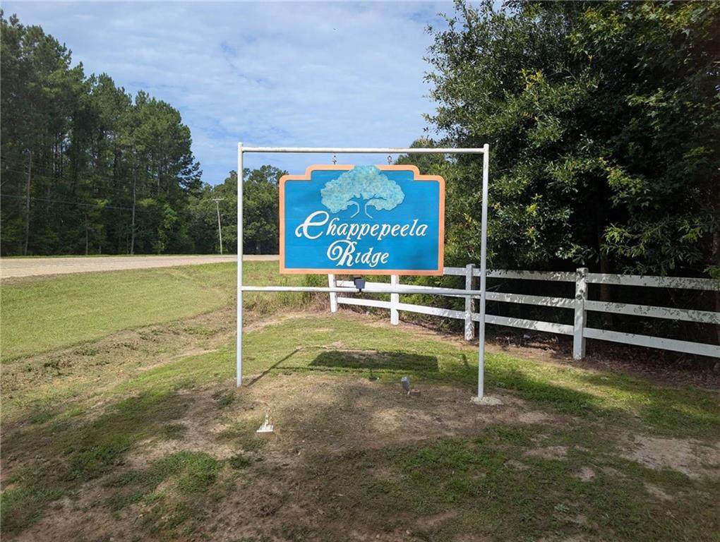  Providence Estates Road - Photo 1