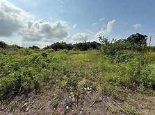 LOT L-2 Langston Lane - Photo 1