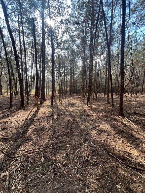 0 Chadwick Loop - Photo 1