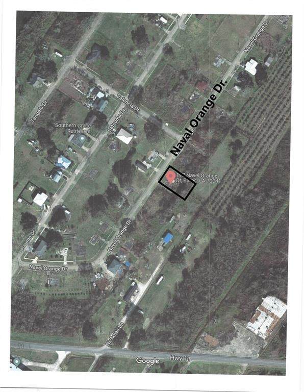 177 Naval Orange Drive - Photo 1