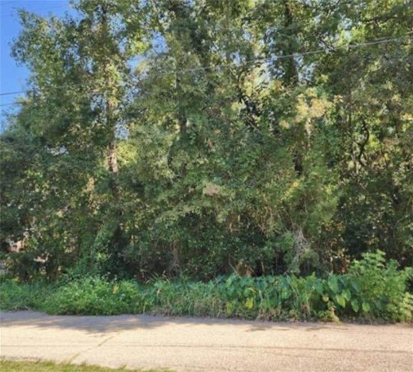 Lot 14 Jefferson Avenue - Photo 1