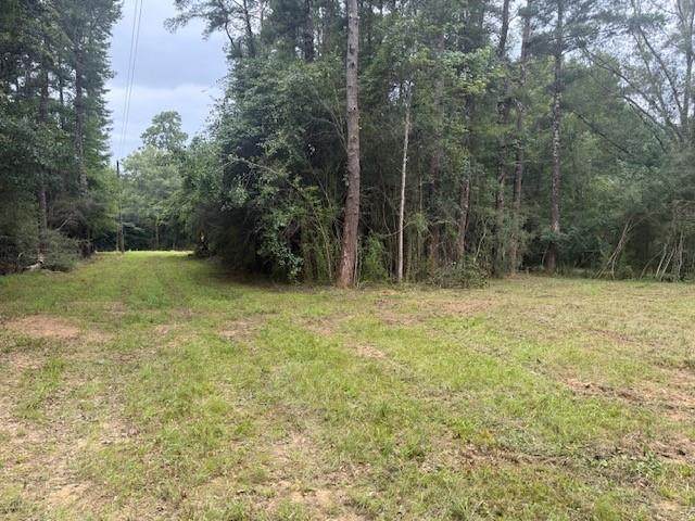 12293 Highway 40 Highway - Photo 1