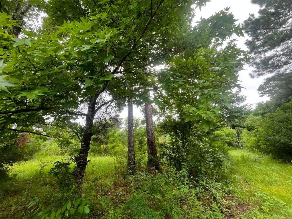 589 Tyler Cemetery Road - Photo 1