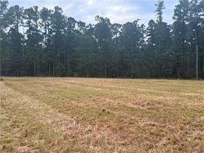 TBD Hwy 1241 Highway - Photo 1