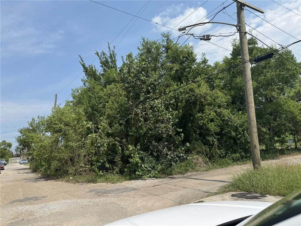 3235 Rabbits Street - Photo 1