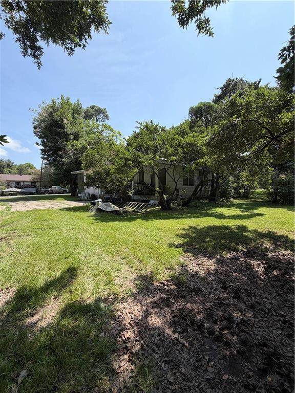 119 Lorraine Street - Photo 1