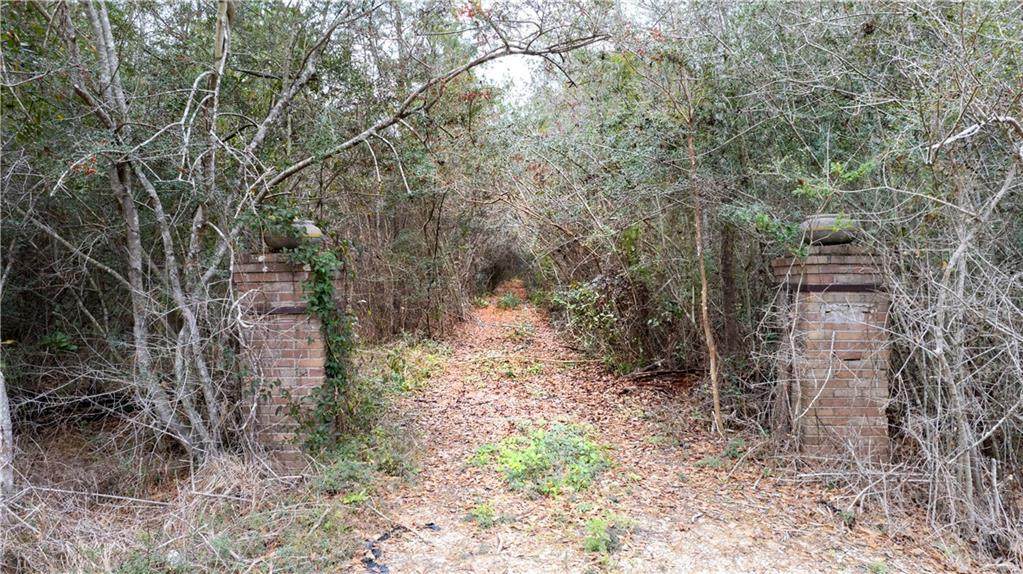 https://bt-photos.global.ssl.fastly.net/neworleans/orig_boomver_1_2570596-2.jpg