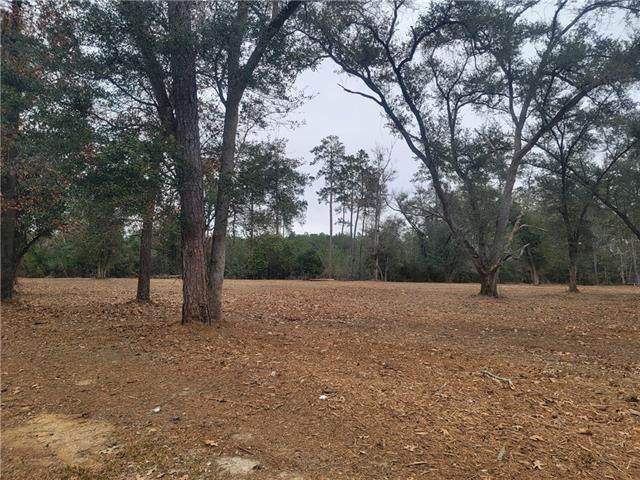 Lot 17 Holiday Square Boulevard - Photo 1