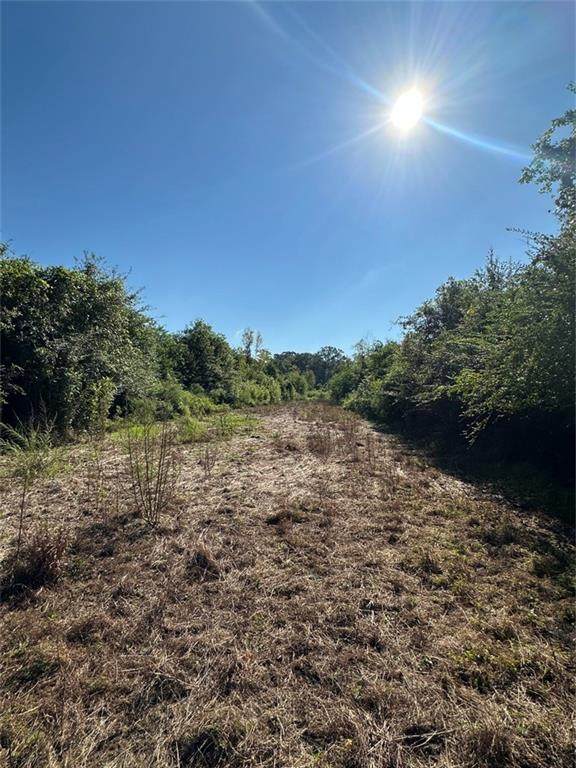  Port Hudson-Pride Rd Road - Photo 1