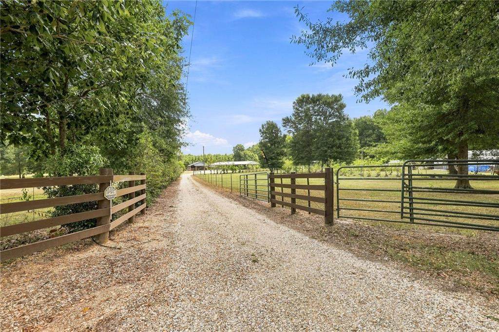 62258 Friendship Church Road - Photo 1