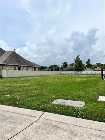 3104 Rue Marcelle Drive - Photo 1