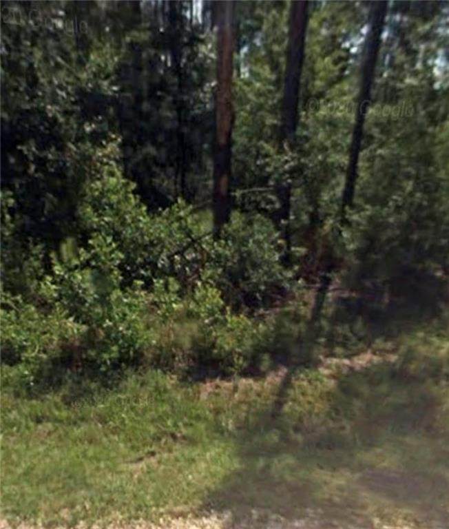 73060 Hazard Street - Photo 1