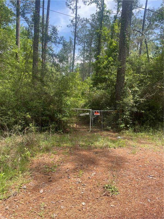 29244 Cyprian Drive - Photo 1