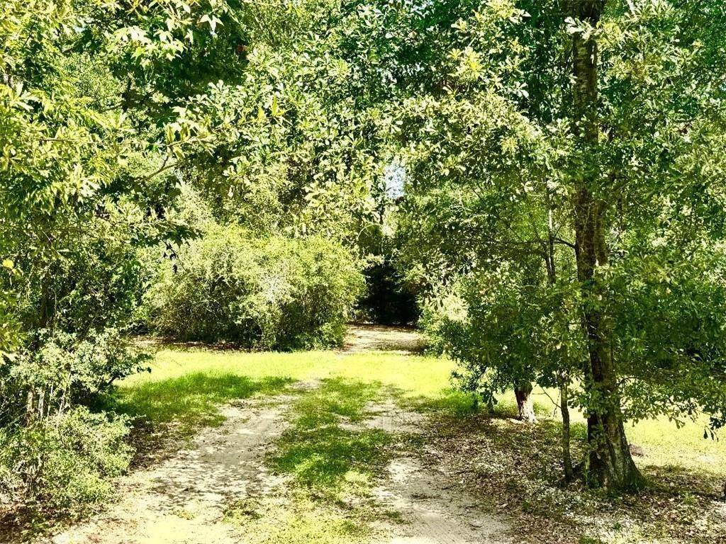 707 Copal Street - Photo 1