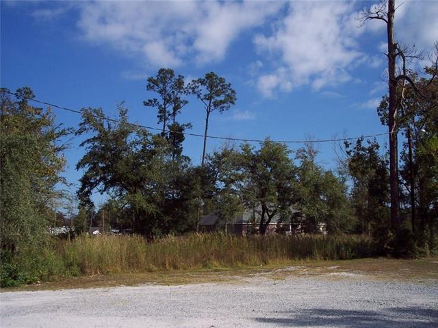 Nellie Drive - Photo 1