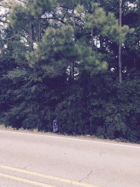 Hwy 40 Highway - Photo 1