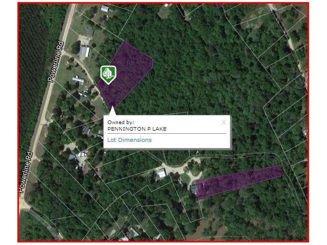 Lot 17 Turkey Pine Road - Photo 1
