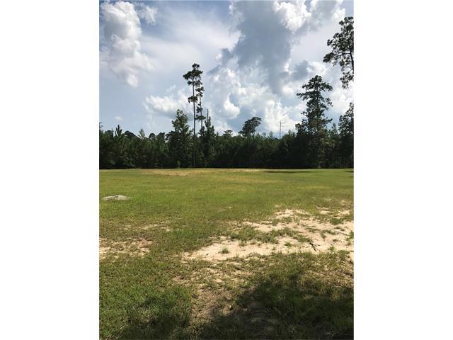 Lot 119 Oak Tree Court - Photo 1