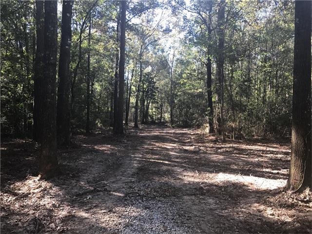 Tract D George White Road - Photo 1