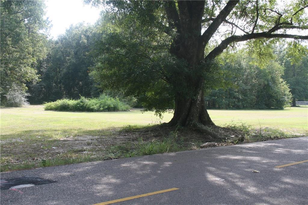 901 Hewitt Road - Photo 1
