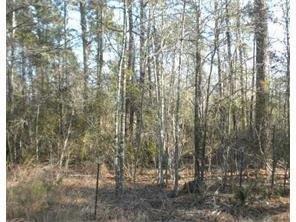 1.26 ACRES HIGHWAY 22 Highway - Photo 1