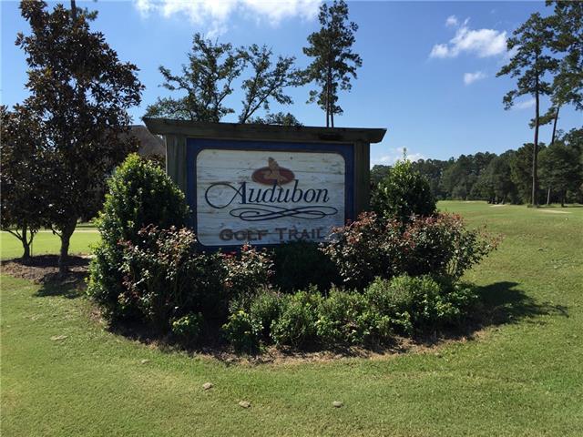 23878 Carter Trace - Photo 1