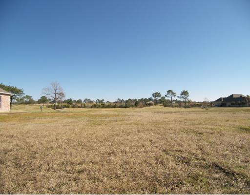 Augusta Lane - Photo 1