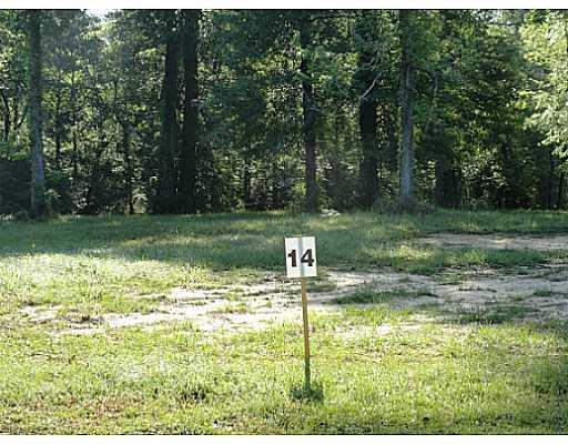 Lot 14 Sierra Ridge Court - Photo 1