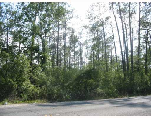 3 Cypress Drive - Photo 1
