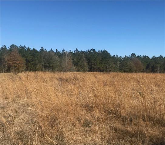 28885 Old Cc Road - Photo 1