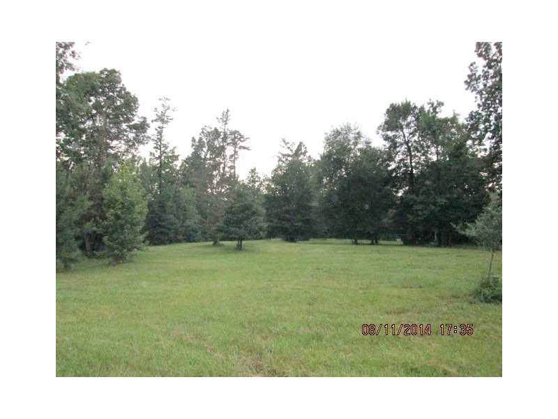 Youngs Road - Photo 1