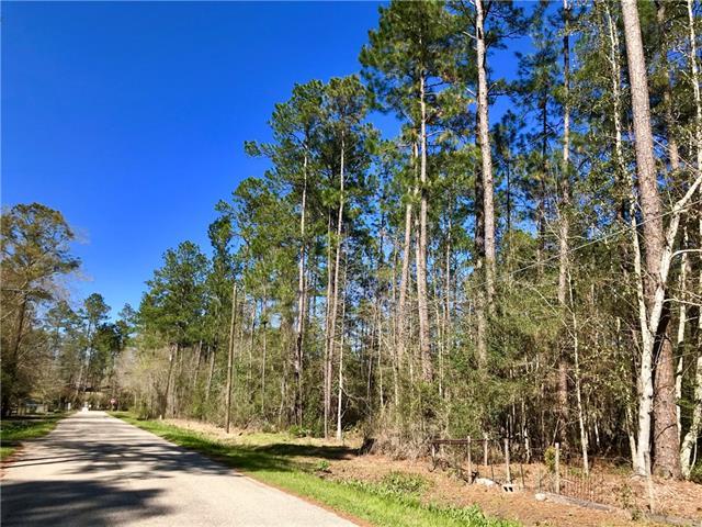 Silver Springs Drive - Photo 1
