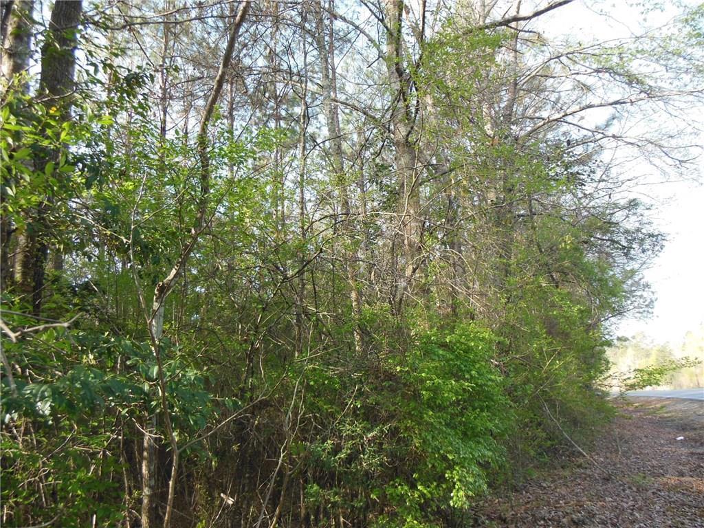 Tract 2B Hwy 10 Highway - Photo 1
