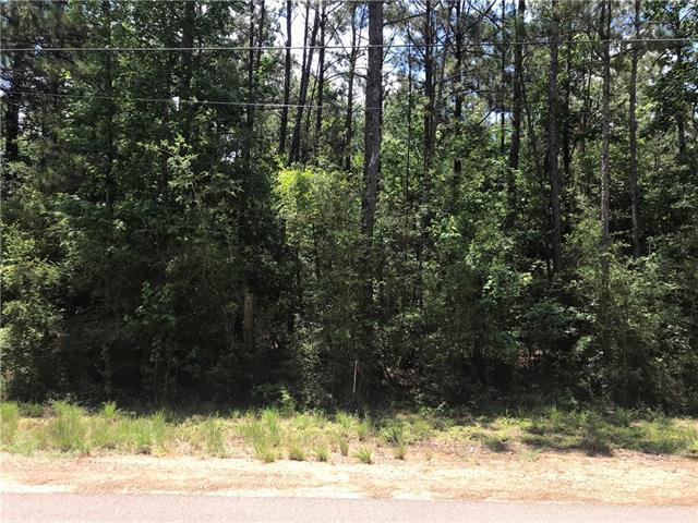 Taylor Creek Road - Photo 1