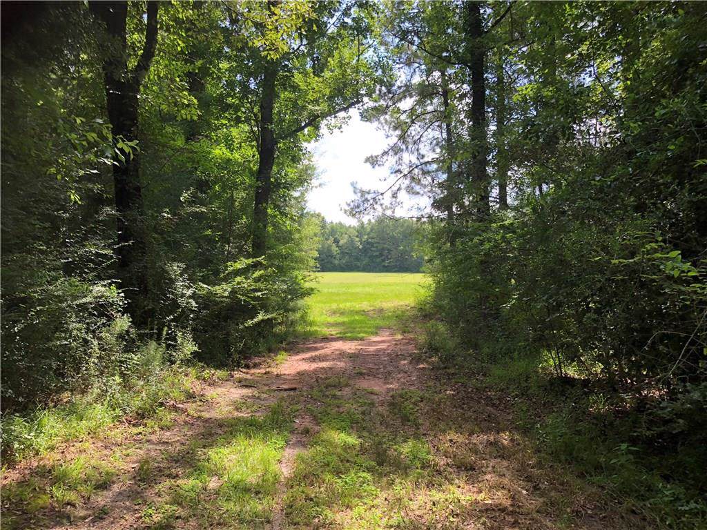 85200 Hwy 1129 Highway - Photo 1