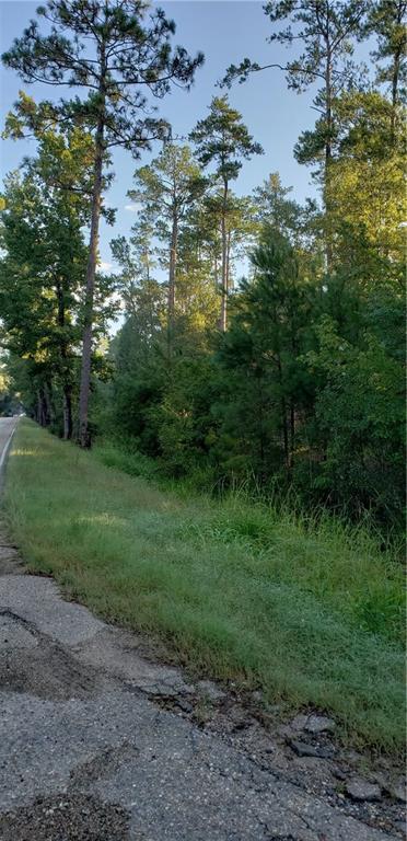 Highway 59 Highway - Photo 1