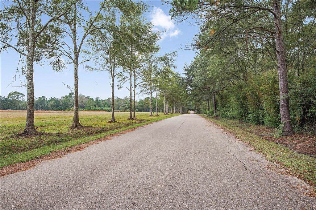 Quaglino Road - Photo 1